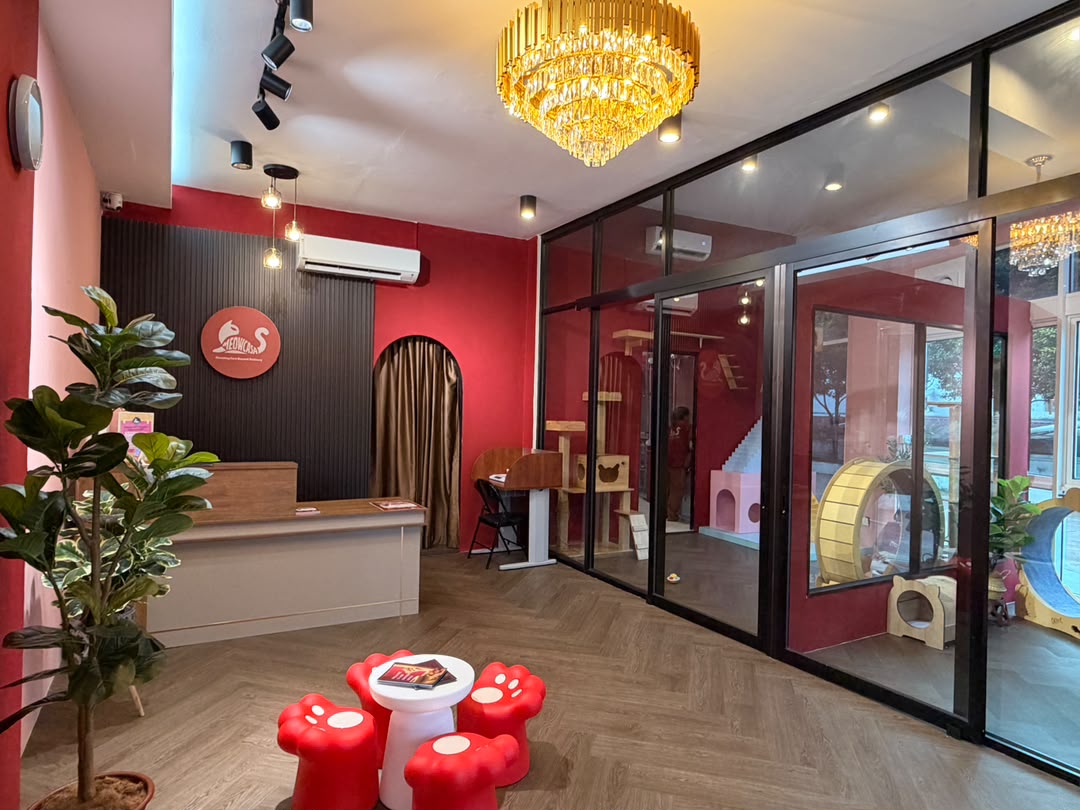 Casa Play Room -  CCTV